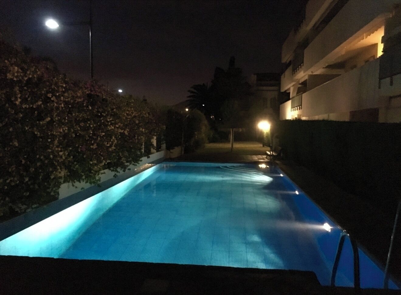 A nighttime view of a swimming pool with surrounding greenery and a building in the background.