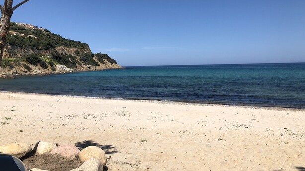 Ein Strand mit klarem, blauem Wasser, sandigem Ufer und einem Baum links.