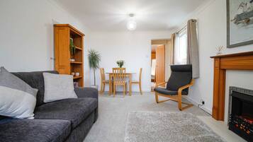 TV, fireplace, DVD player