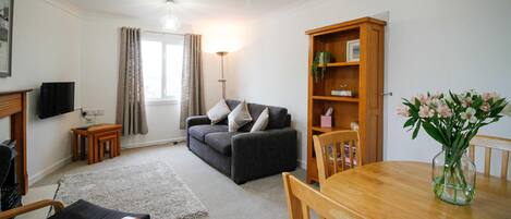 Fernseher, Kamin, DVD-Player