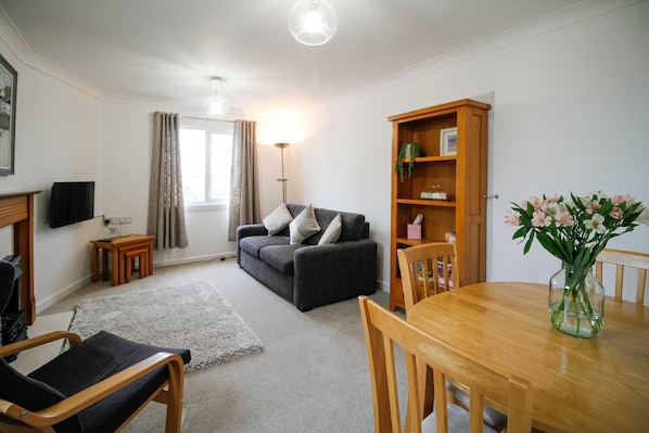 TV, fireplace, DVD player