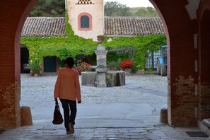 Terrein van de accommodatie