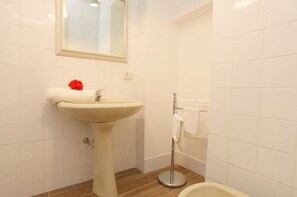 Shower, hair dryer, bidet, towels