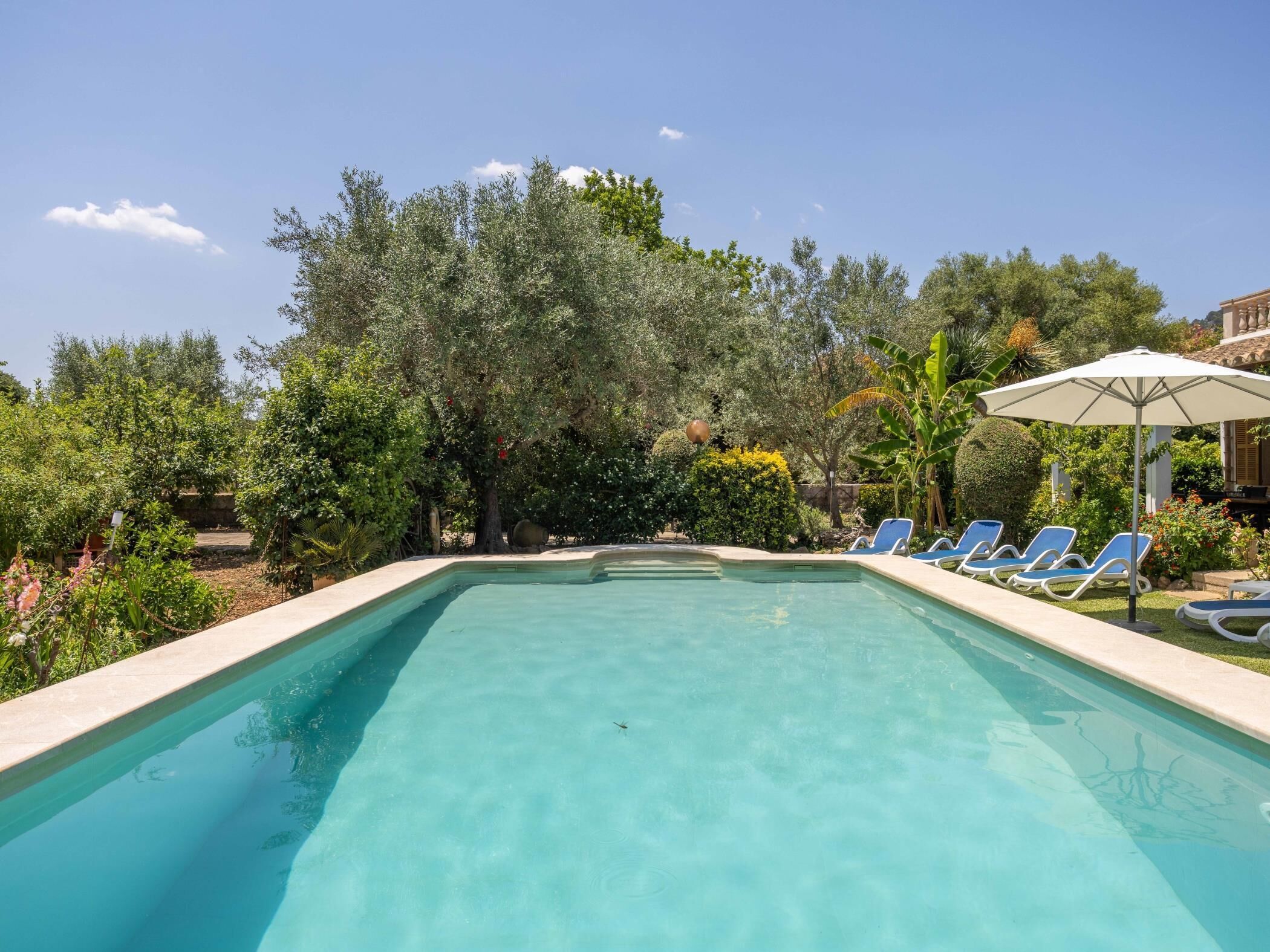Piscina con agua azul, rodeada de follaje y árboles. Hay sillas de descanso y una sombrilla blanca.