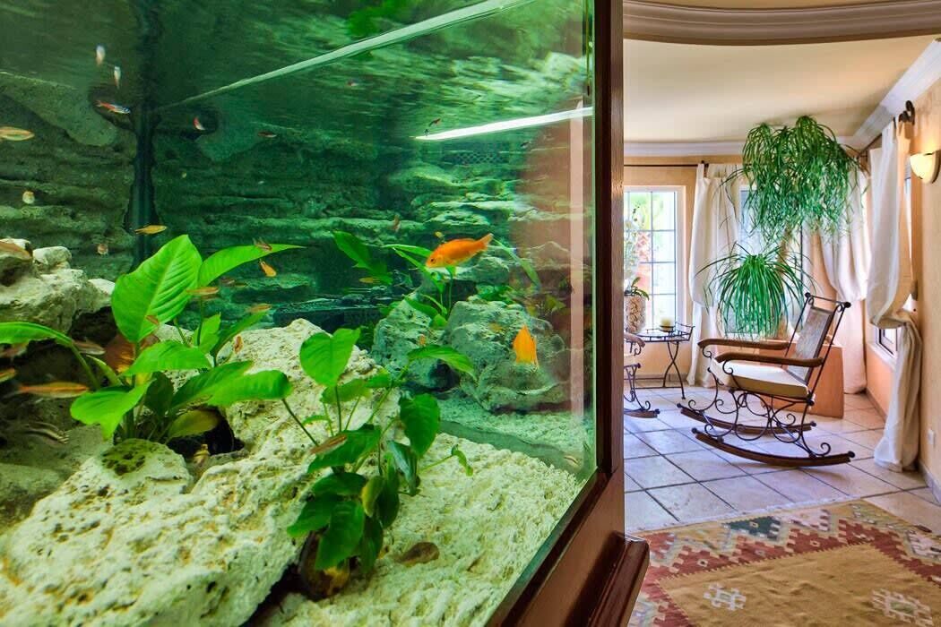 Aquarium and reading area