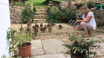 Enceinte de lâhĂ©bergement