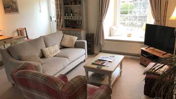 TV connectée, cheminée, lecteur de DVD, table de tennis de table