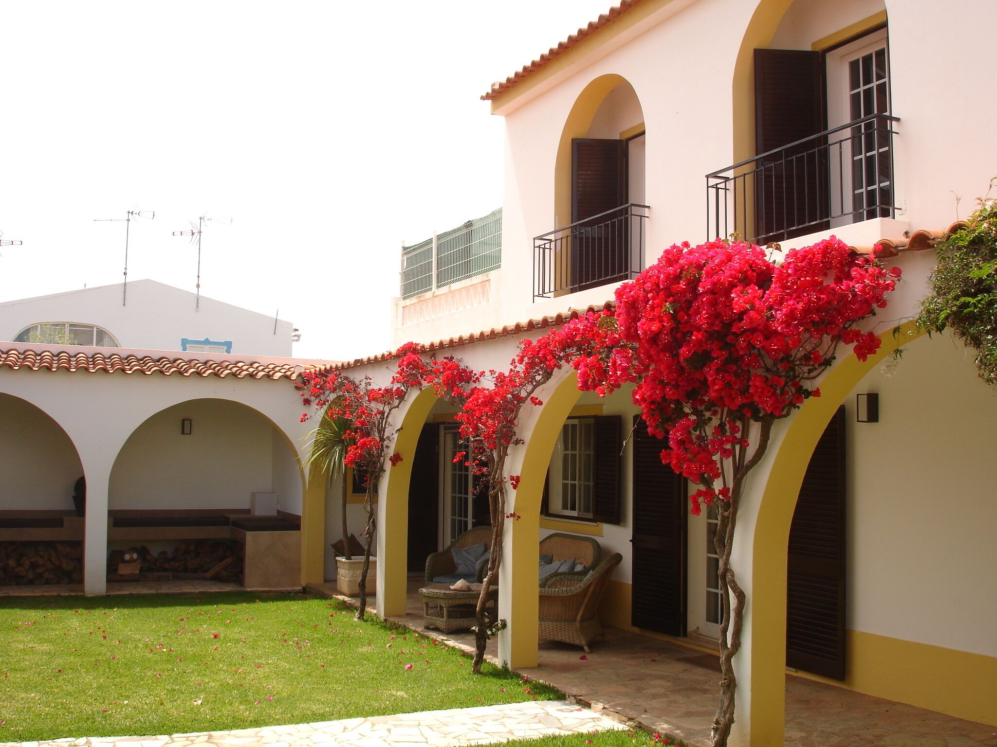 Área da propriedade