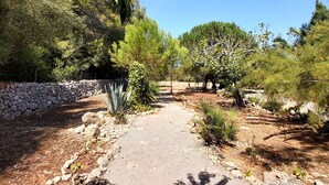 Un sentier dallé, bordé de différents arbres et arbustes, qui mène à un mur de pierre.