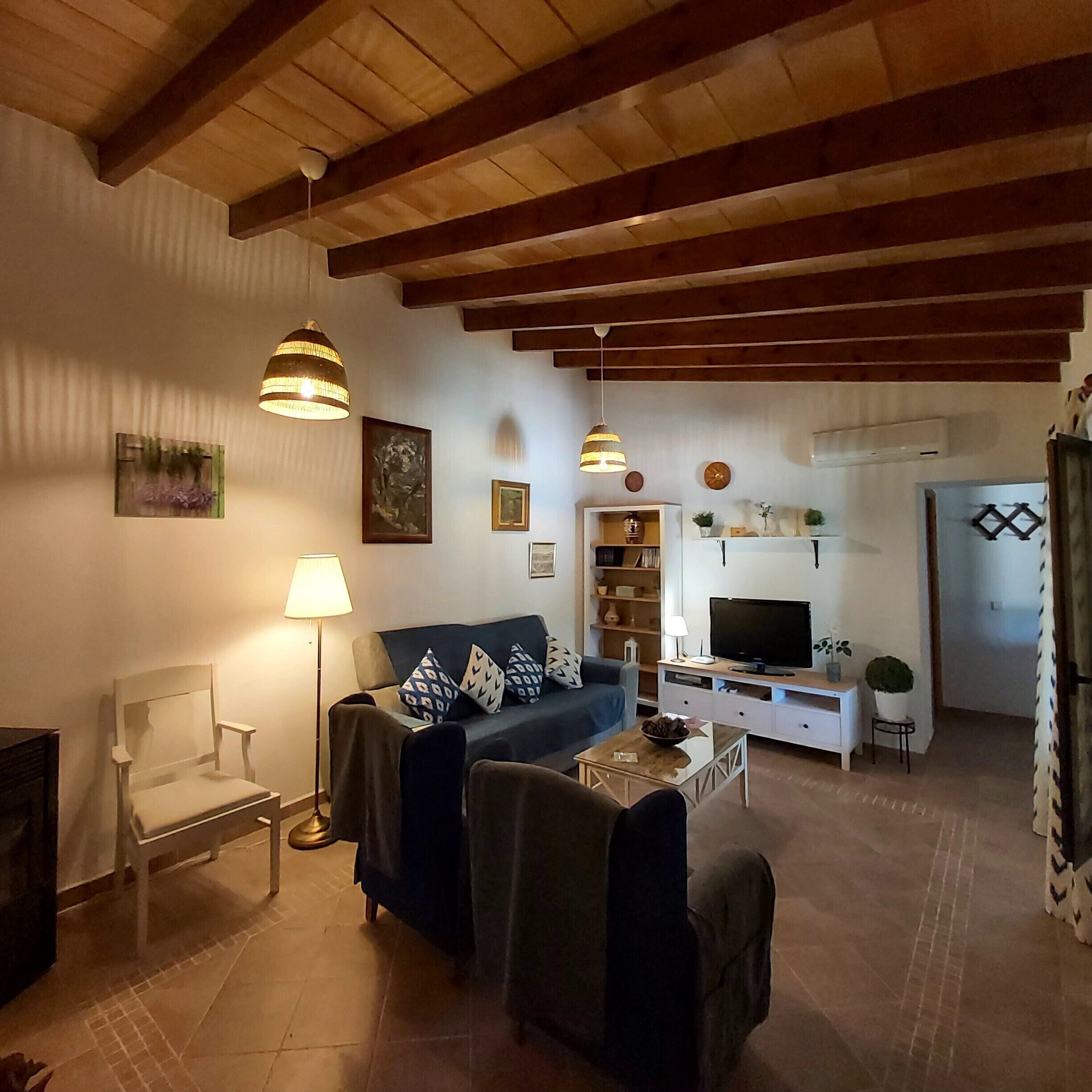 Tv, pejs, dvd-afspiller, bøger