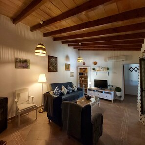 TV, fireplace, DVD player, books