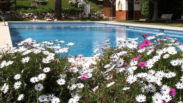 A swimming pool surrounded by white and pink flowers, with a palm tree and a building in the background. - 3 bedroom villa in Golf Resort, quiet, walking distance to beach, parking, pool (Torrequebrada Golf)