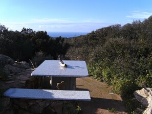 Restauration en plein air