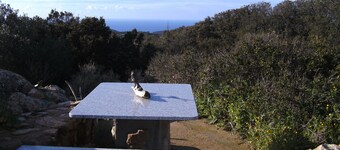 Typical house in the countryside, only a few km from the sandy beach