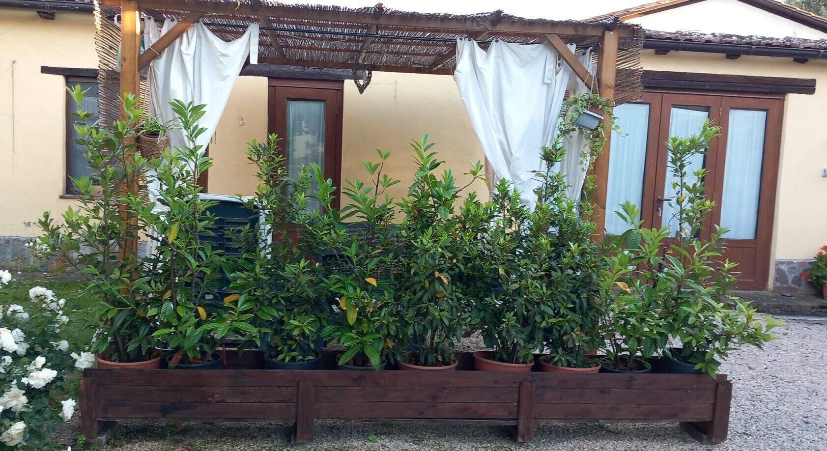 Áreas de la propiedad