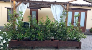 Overnattingsstedets uteområder