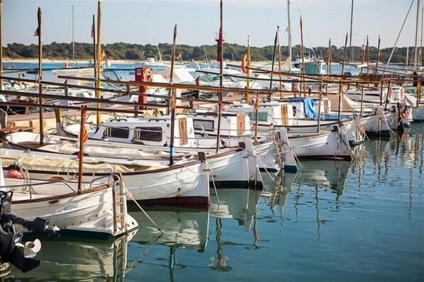 Port esportiu