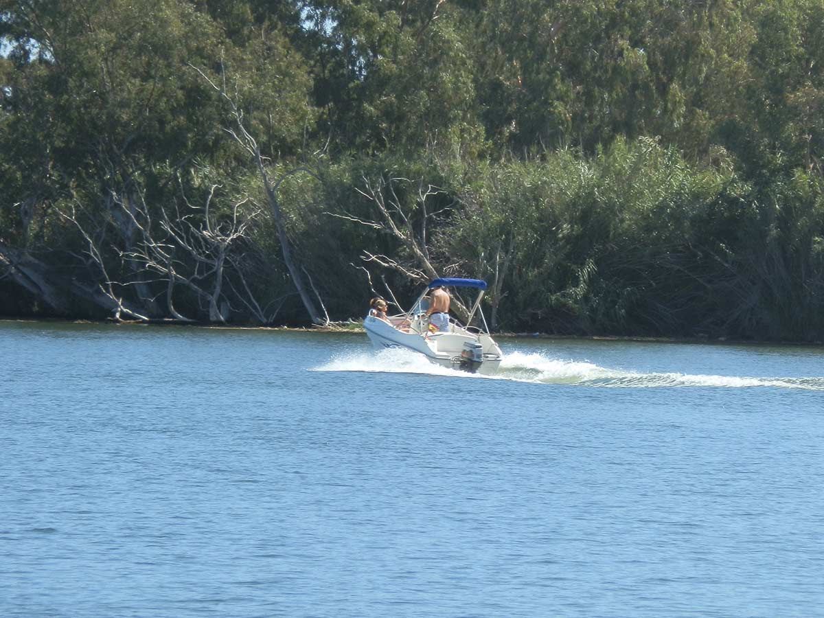 Un bote en un lago tranquilo con árboles densos al fondo.