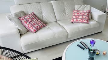Smart TV, DVD player, books, video library