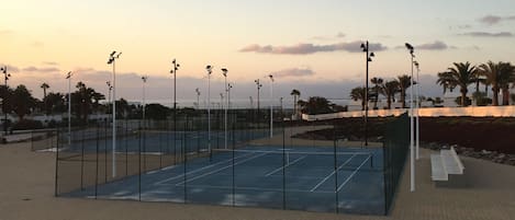Terrain de sport