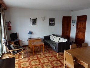 Televisio, DVD-soitin, kirjoja, videokirjasto