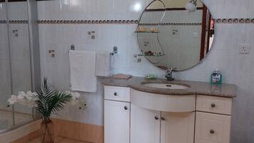 Shower, hair dryer, towels, soap