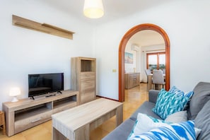Smart TV, fireplace, DVD player, books