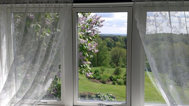 A window with sheer curtains, a view of a green landscape with trees and a clear sky. - Cozy vacation home for 5 people in Hallandsåsen. (Hjärnarp)