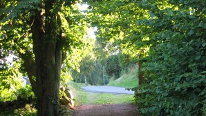 A gravel path leading to a road surrounded by dense green foliage. - Cozy vacation home for 5 people in Hallandsåsen. (Hjärnarp)
