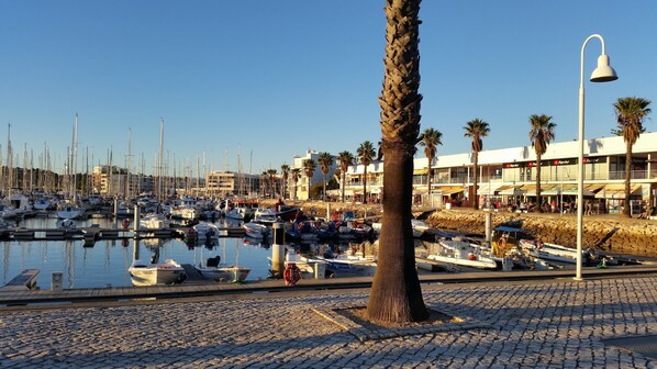 Un porto turistico con imbarcazioni ormeggiate, un percorso pedonale in pietra, palme e un edificio con negozi.