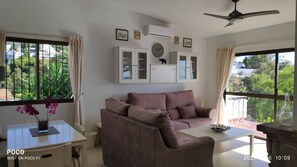 Smart TV, fireplace, DVD player, books