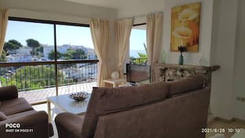 Smart TV, fireplace, DVD player, books