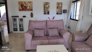 Smart TV, fireplace, DVD player, books