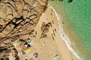 Gandules de platja 