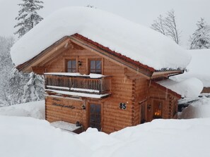Exterior - Exclusive, new, very spacious house, in a prime location on the slopes! Book NOW (Annaberg im Lammertal)