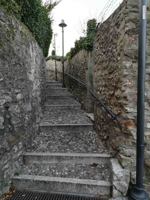 Property grounds - The relaxing holiday with or without family or with your pet friend (San Felice del Benaco)