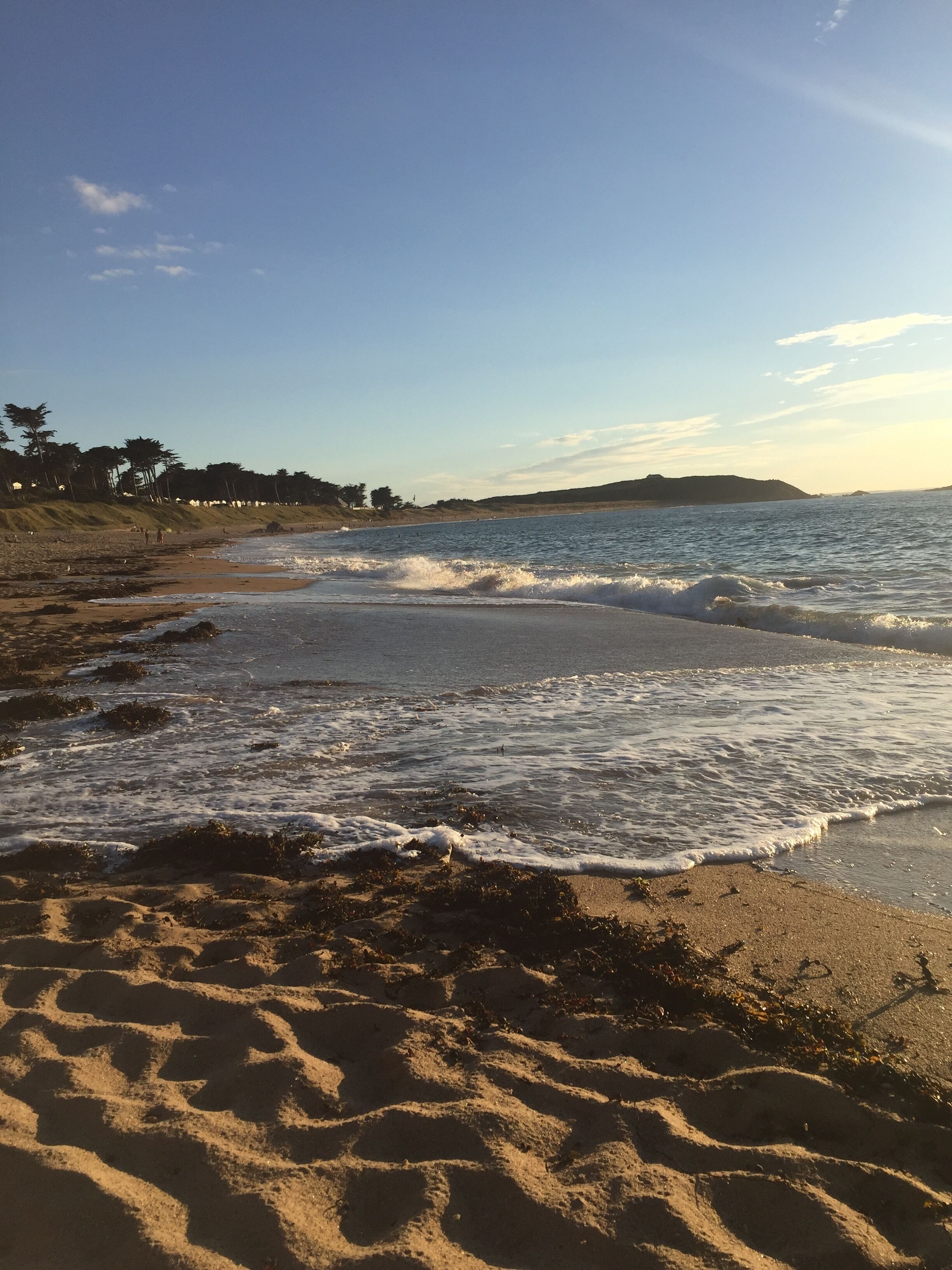 Une plage avec des vagues, du sable et des arbres qui se dessinent à l’horizon.