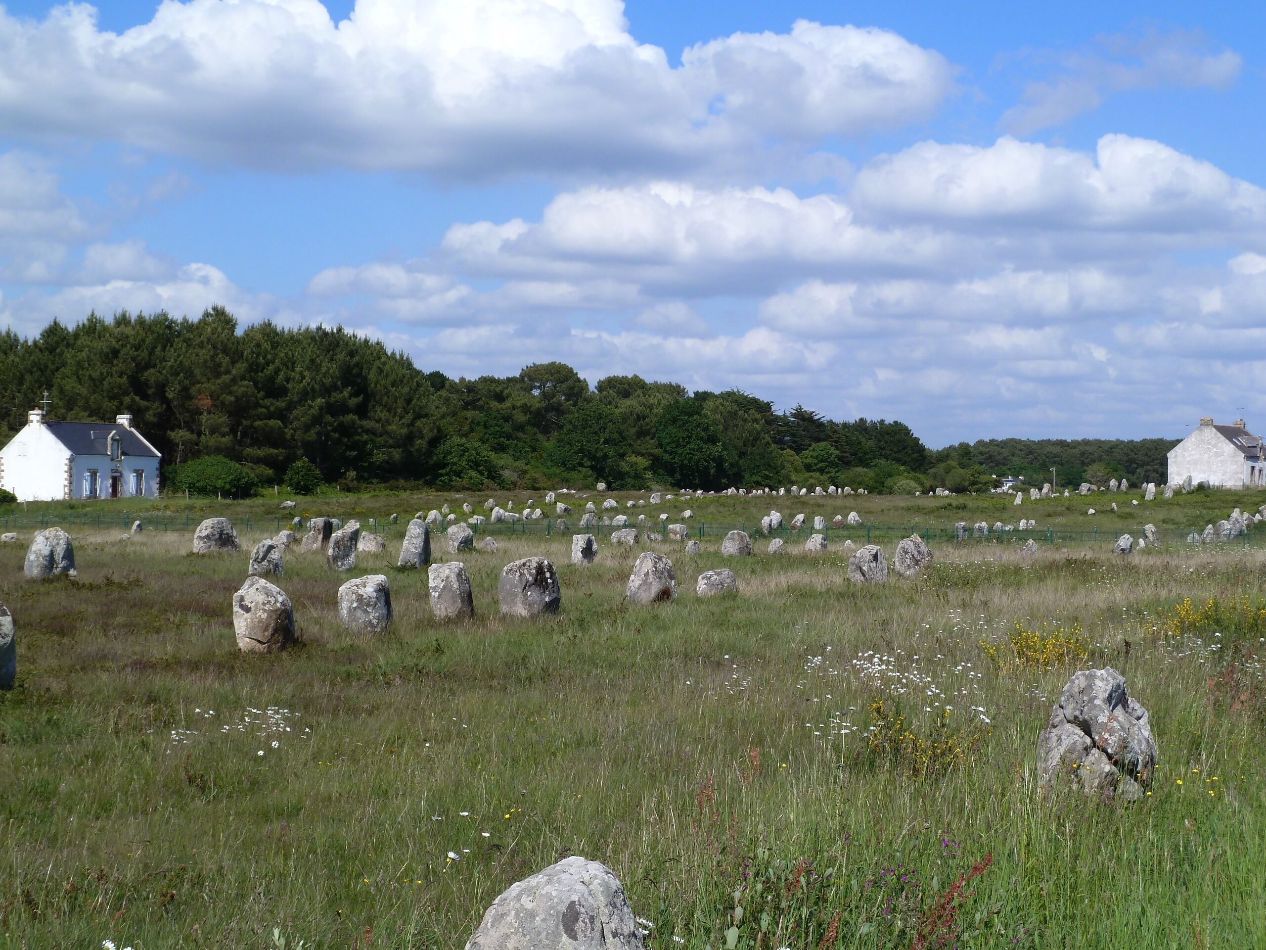 En græsmark med mange stående sten og to hvide bygninger i baggrunden.
