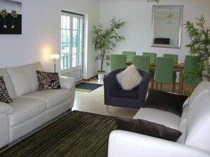 Televisión, chimenea, videojuegos y reproductor de DVD 