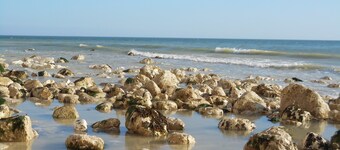Fabulously Located Beachfront Apartment with Sea Views and Free Private Parking