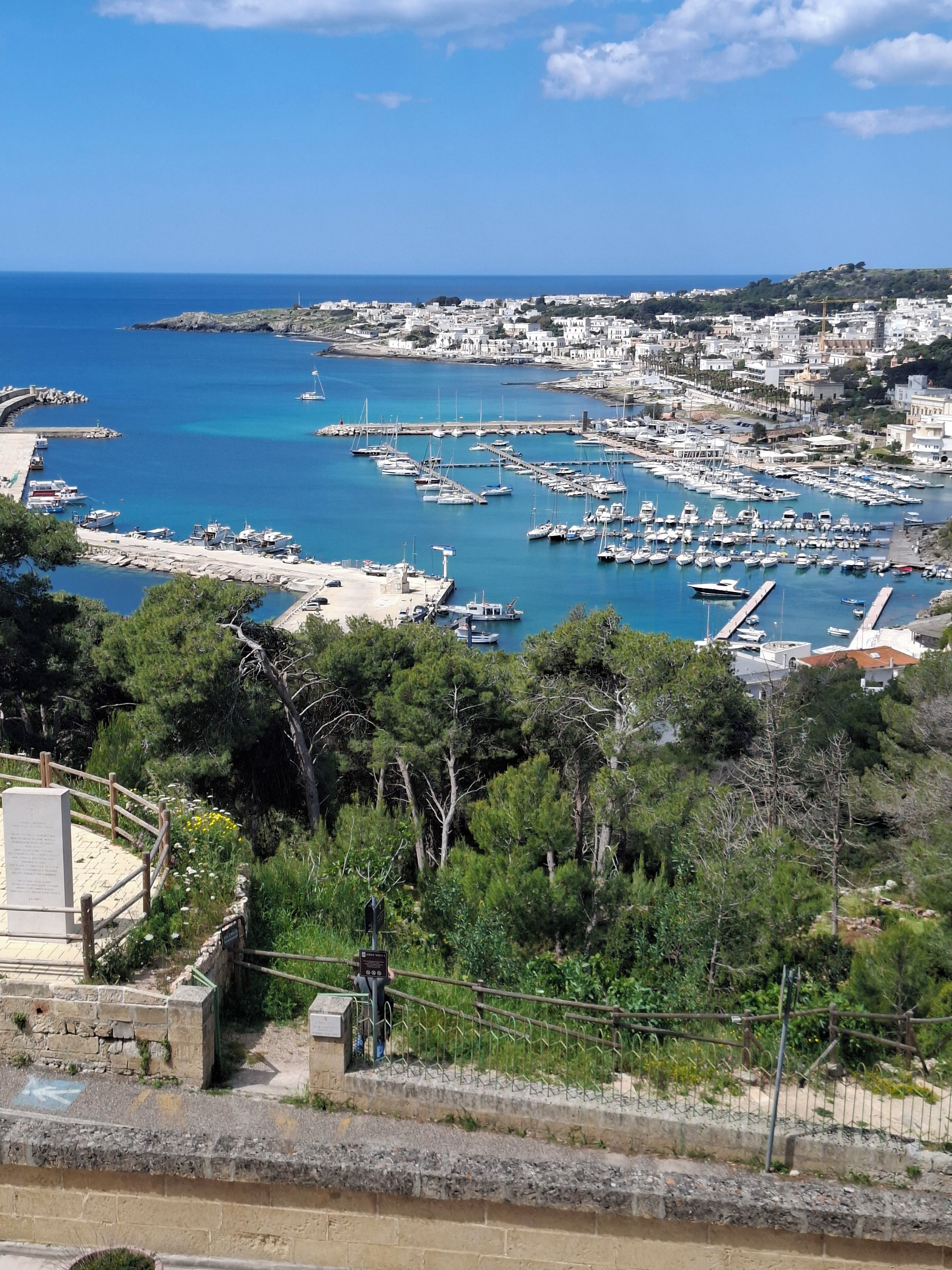 Un pueblo costero con un puerto deportivo, edificios y zonas verdes.