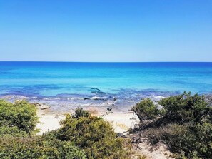Nära stranden
