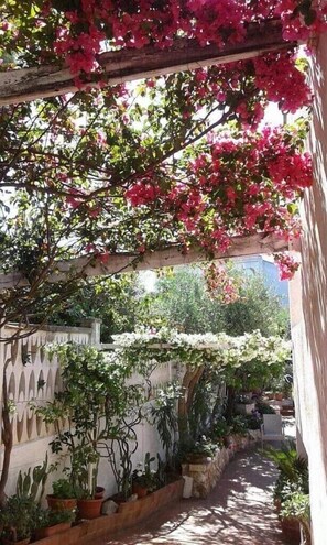 Property grounds - Greek/Mediterranean style villa of 200 sqm, with elegant interiors, family friendly (Pilone)