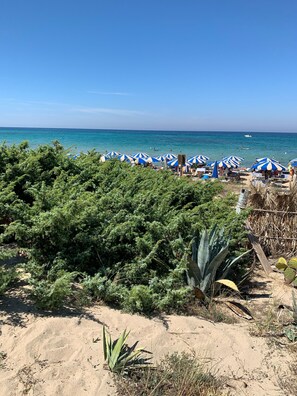 Nära stranden