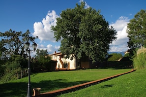 Esterni