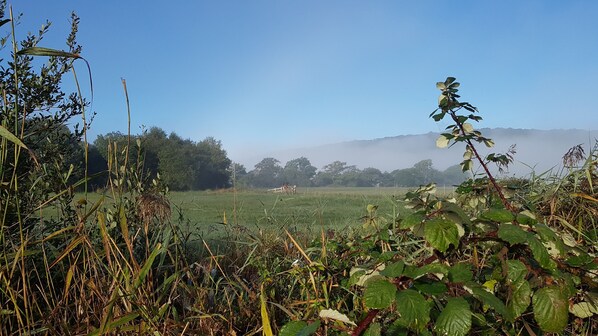 A rural landscape with a field, trees, and a fence in the distance. - Dog & family friendly 2 bed barn conversion in country setting (CLEVEDON)