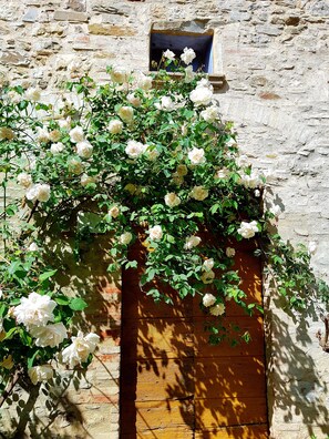 Un muro de piedra con una caja de madera cubierta de rosas blancas.
