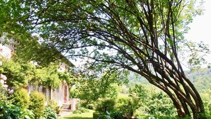 Un exuberante jardín con un edificio de piedra, un camino y una variedad de plantas.
