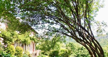 Lovely Tuscan Farmhouse. Newly Restored. Private Garden. Great View on Lucca!