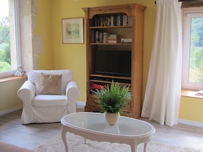 TV, DVD player, books, video library